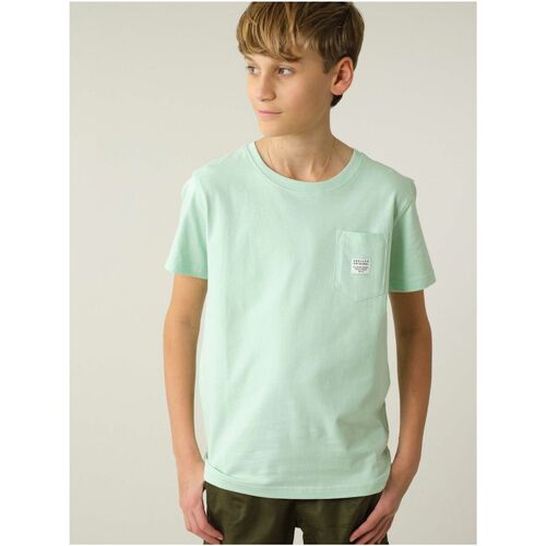 Vêtements Garçon Paniers / boites et corbeilles Deeluxe T-Shirt BASITO Vert