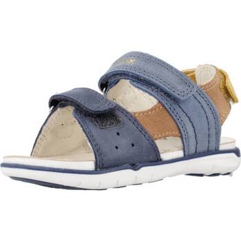 Chaussures Garçon Sandales et Nu-pieds Geox B SANDAL DELHI BOY Bleu