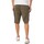 Vêtements Homme Shorts / Bermudas Timberland Short cargo en sergé Vert
