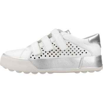 Chaussures Femme Vases / caches pots dintérieur Stonefly STELLA 5 NAPPA Blanc