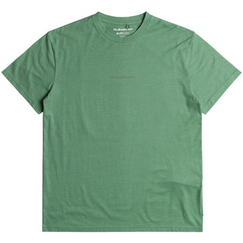 Vêtements Homme T-shirts & Polos Quiksilver Peace Phase Vert