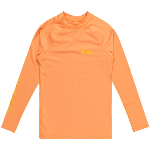 Vêtements Garçon T-shirts manches longues Quiksilver Everyday Orange