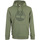 Vêtements Homme Sweats Timberland Tree Logo Hoodie Vert