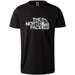 Vêtements Homme T-shirts manches courtes The North Face NF0A87NX Noir