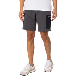 Vêtements Homme Shorts / Bermudas Berghaus Short Reacon Gris
