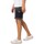 Vêtements Homme Shorts / Bermudas Berghaus Short Reacon Gris