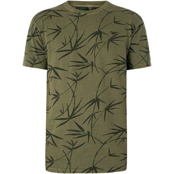Vêtements Homme Shorts & Bermudas Superdry T-shirt imprimé surteint vintage Vert