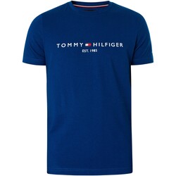 Vêtements Homme T-shirts manches courtes Tommy Hilfiger T-shirt graphique Bleu