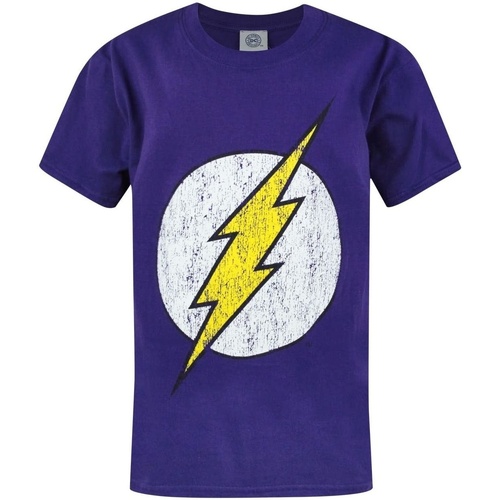 Vêtements Garçon T-shirts manches courtes Dc Comics The Flash Violet