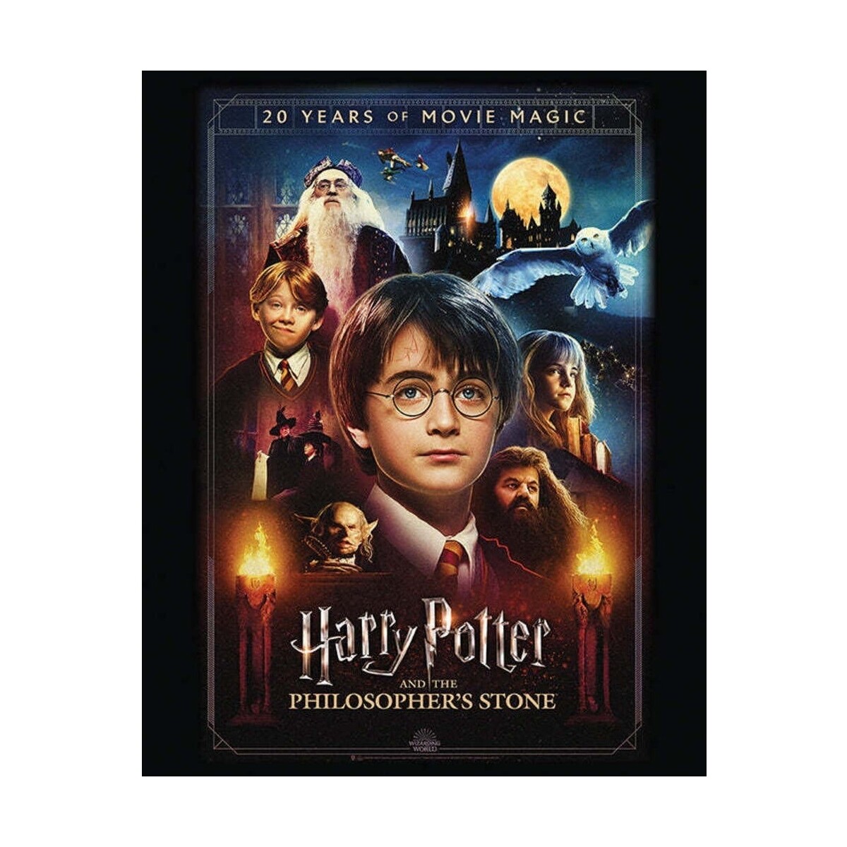 Maison & Déco Affiches / posters Harry Potter PM3413 Multicolore