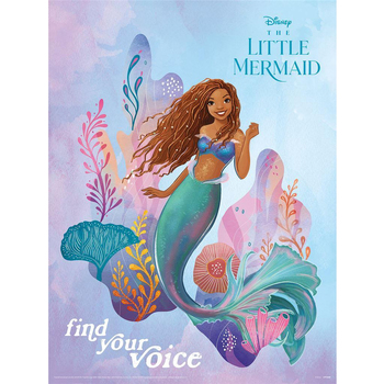 Maison & Déco Affiches / posters The Little Mermaid PM6506 Multicolore