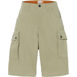 Vêtements Homme Shorts / Bermudas Timberland Short Twill Cargo Kaki
