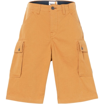 Vêtements Homme Shorts / Bermudas Timberland Shoes Short Twill Cargo Marron