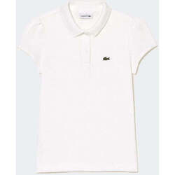 Vêtements Garçon T-shirts & Polos Lacoste  Blanc