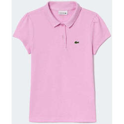 Vêtements Garçon T-shirts & Polos Lacoste  Rose