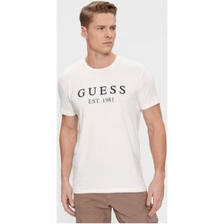 Vêtements Homme T-shirts manches courtes Guess U4RI22 K6YW0 Blanc