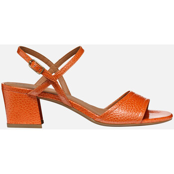 Chaussures Femme Sandales et Nu-pieds Geox D NEW ERAKLIA 50 Orange
