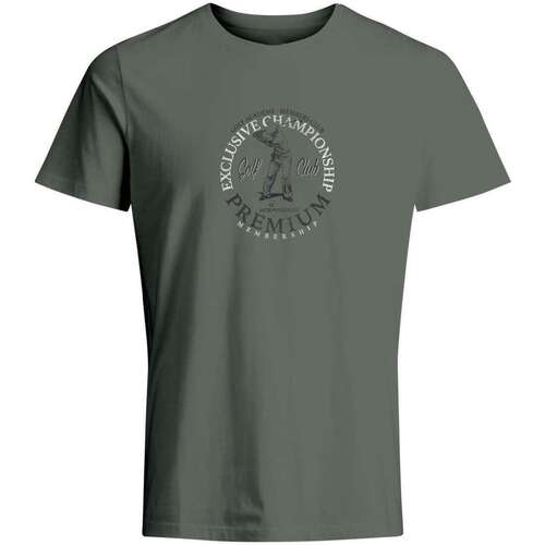 Vêtements Homme T-shirts manches courtes Premium By Jack & Jones 162408VTPE24 Kaki