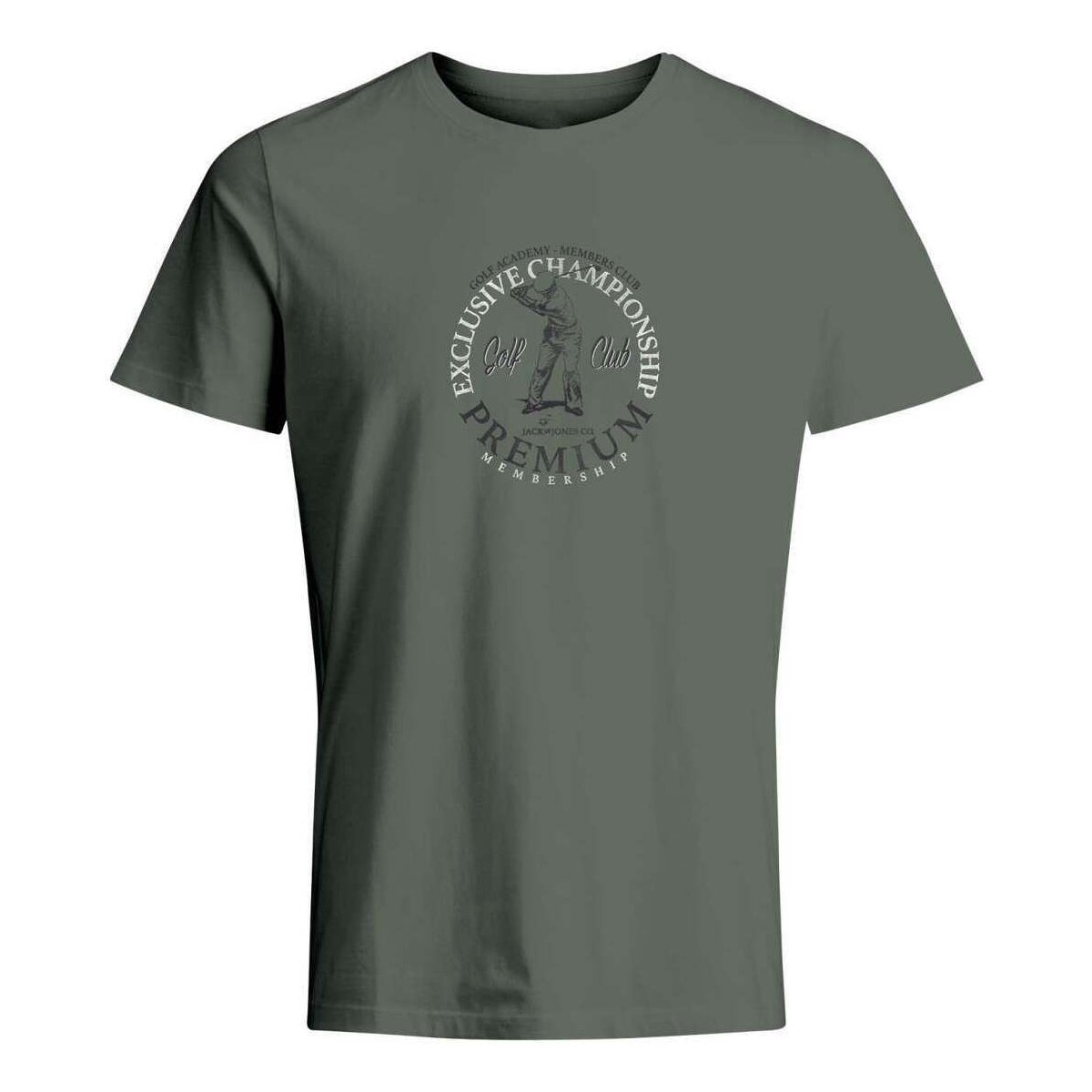 Vêtements Homme T-shirts manches courtes Premium By Jack & Jones 162408VTPE24 Kaki