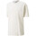 Vêtements Homme T-shirts & Polos Puma T-shirt  coupe boxy Classics Beige