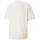 Vêtements Homme T-shirts & Polos Puma T-shirt  coupe boxy Classics Beige