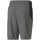 Vêtements Homme Shorts / Bermudas Puma 522354-44 Gris