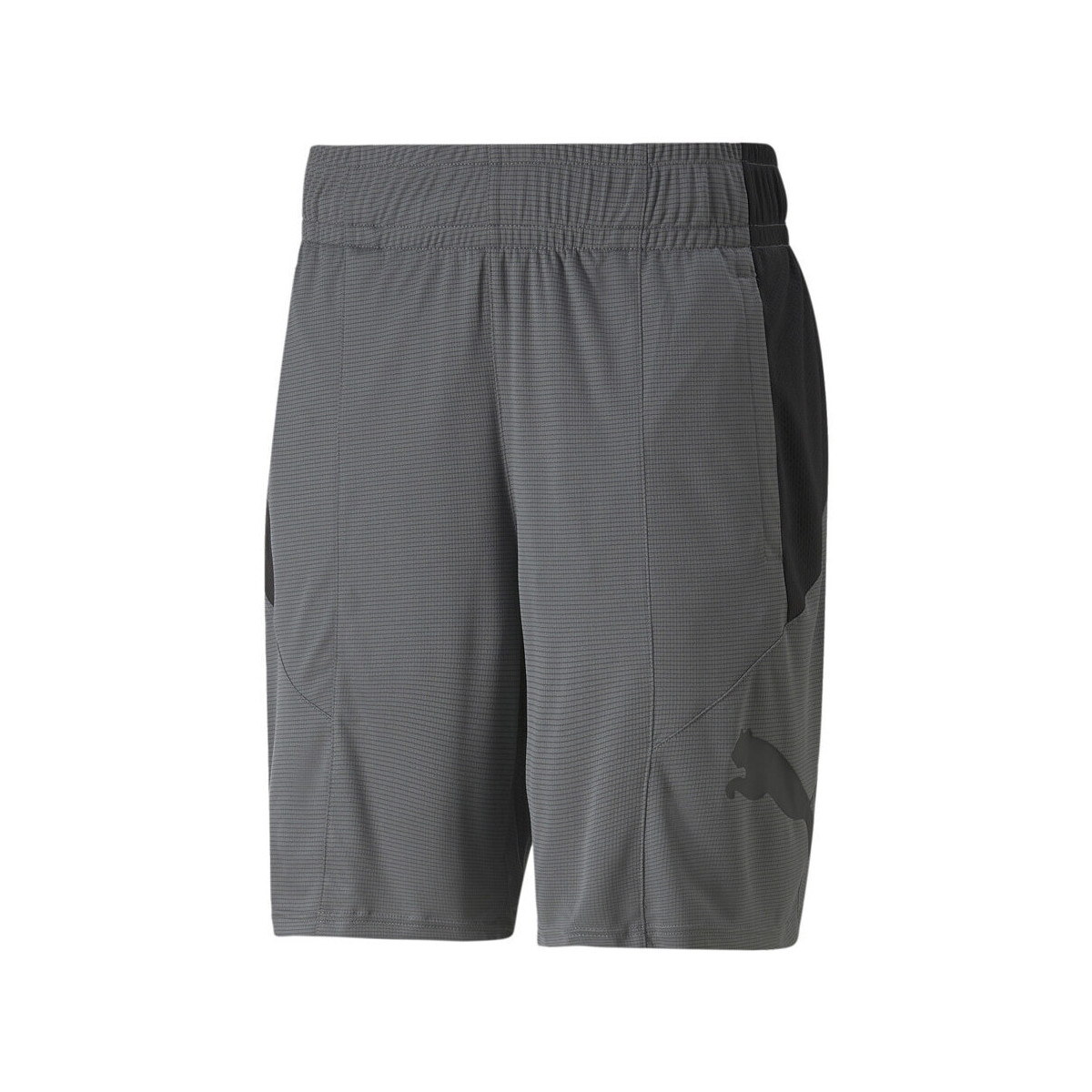 Vêtements Homme Shorts / Bermudas Puma 522354-44 Gris