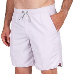 Vêtements Homme Maillots / Shorts de bain Salty Crew SC30335089 Violet