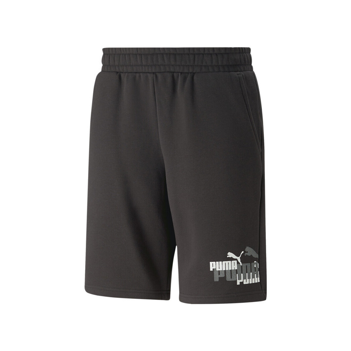 Vêtements Homme Shorts / Bermudas Puma 673369-01 Noir