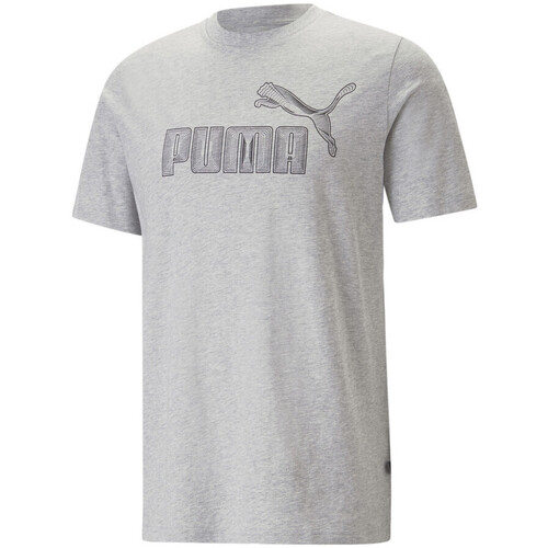 Vêtements Homme T-shirts & Polos GARFIELD Puma 674473-04 Gris