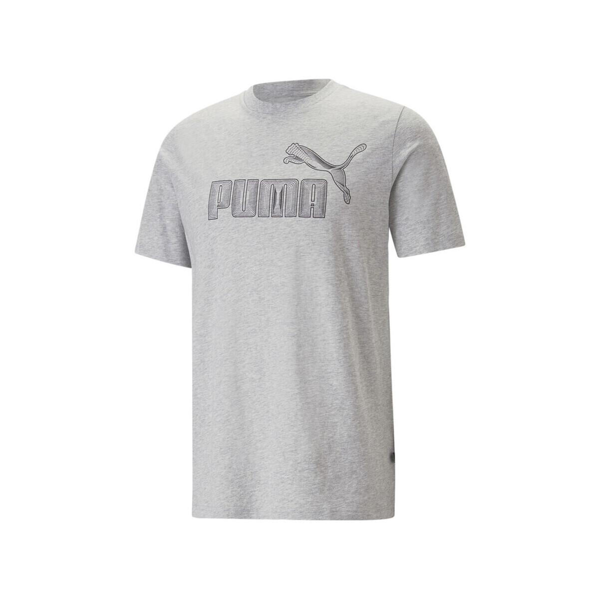 Vêtements Homme T-shirts & Polos Puma 674473-04 Gris
