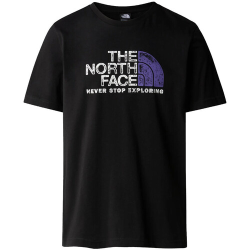 Vêtements Homme T-shirts manches courtes The North Face NF0A87NW Noir