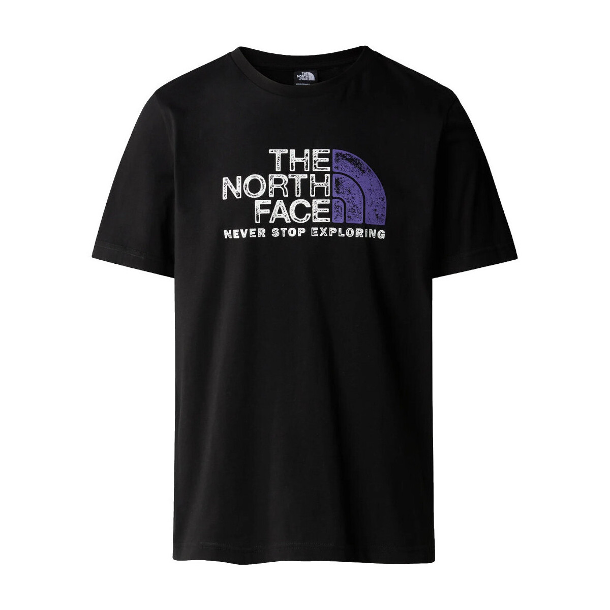 Vêtements Homme T-shirts manches courtes The North Face NF0A87NW Noir