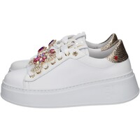 Chaussures Femme Baskets mode Gio + PIA38 Blanc