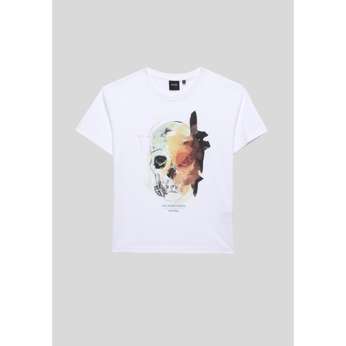 Vêtements Garçon T-shirts neck manches courtes Kaporal OMBRE Blanc