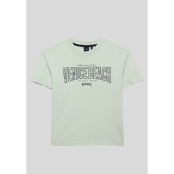 Vêtements Garçon T-shirts manches courtes Kaporal OPALE Vert