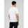 Vêtements Homme T-shirts manches courtes Kaporal NAINT Blanc