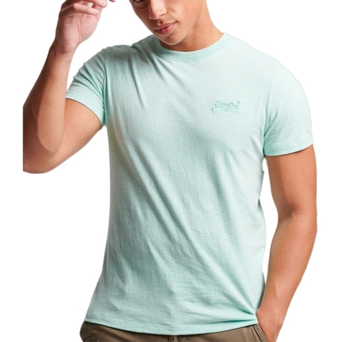 Vêtements Homme T-shirts manches courtes Superdry Essential Logo Vert