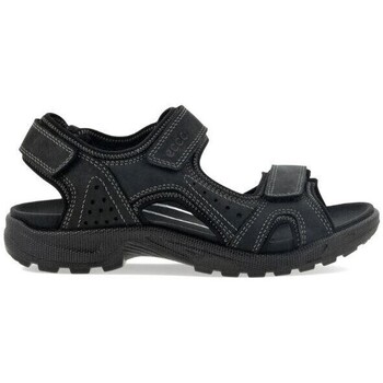 Chaussures Homme Sandales et Nu-pieds Ecco 690024 Noir