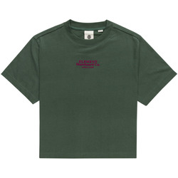 Vêtements Femme T-shirts & Polos Element Velvet Vert