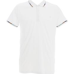 Polo pack of 3