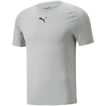 Vêtements Homme T-shirts manches courtes Puma running 521556-03 Gris