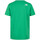 Vêtements Homme T-shirts manches courtes The North Face NF0A87MM Vert