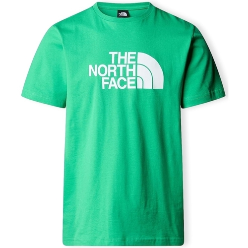 Vêtements Homme T-shirts & Polos The North Face Easy T-Shirt - Optic Emerald Vert