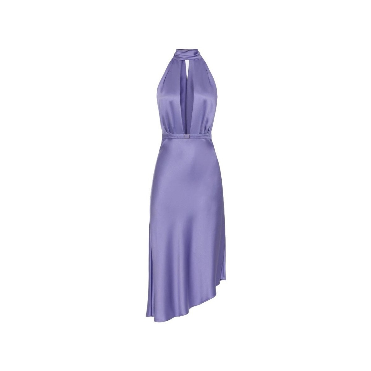 Vêtements Femme Robes Elisabetta Franchi AB58042E2 Violet
