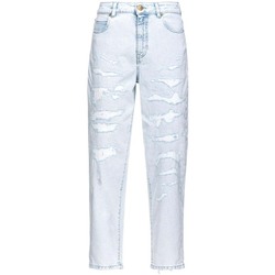 Vêtements Femme Pantalons Pinko 100379A1JK Blanc