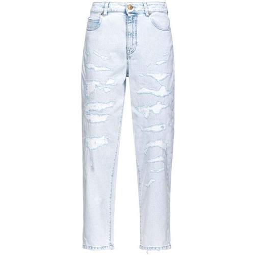 Vêtements Femme Pantalons Pinko 100379A1JK Blanc