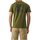 Vêtements Homme T-shirts manches courtes The North Face NF0A87NV Vert