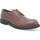Chaussures Homme Mocassins Melluso U24640D-232162 Marron