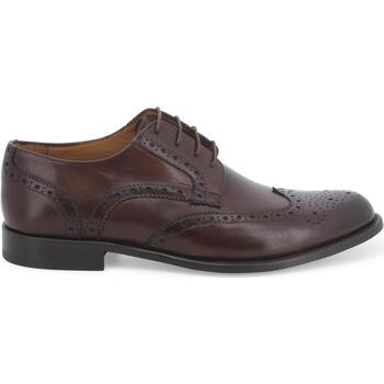 Chaussures Homme Richelieu Melluso U90604W-236894 Marron